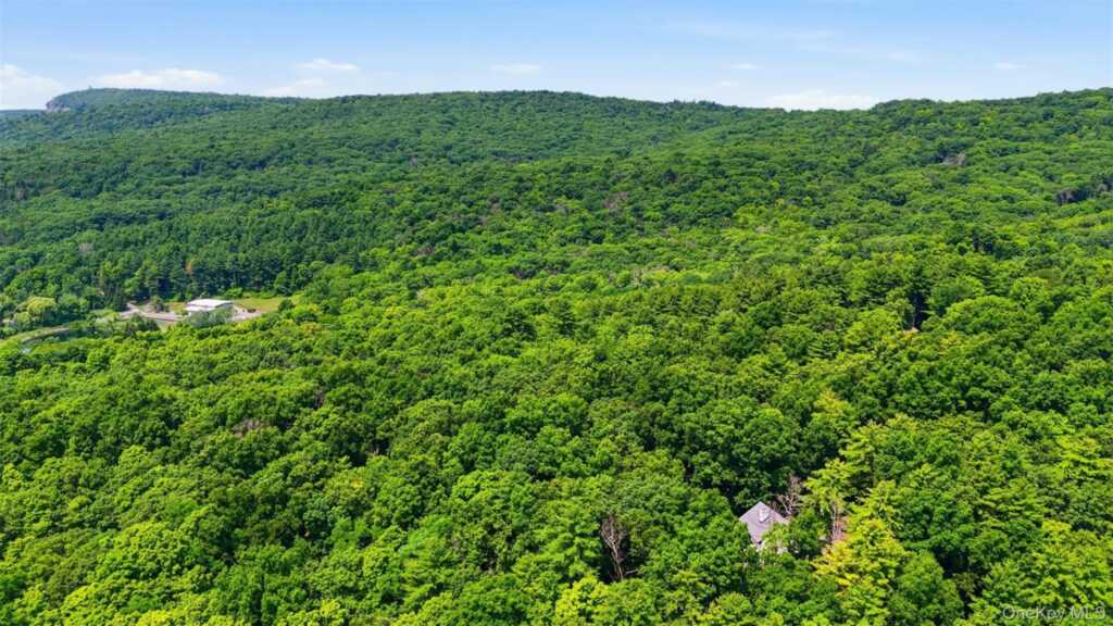 11 Spies Road, New Paltz, NY 12561 - Photo 3 of 29