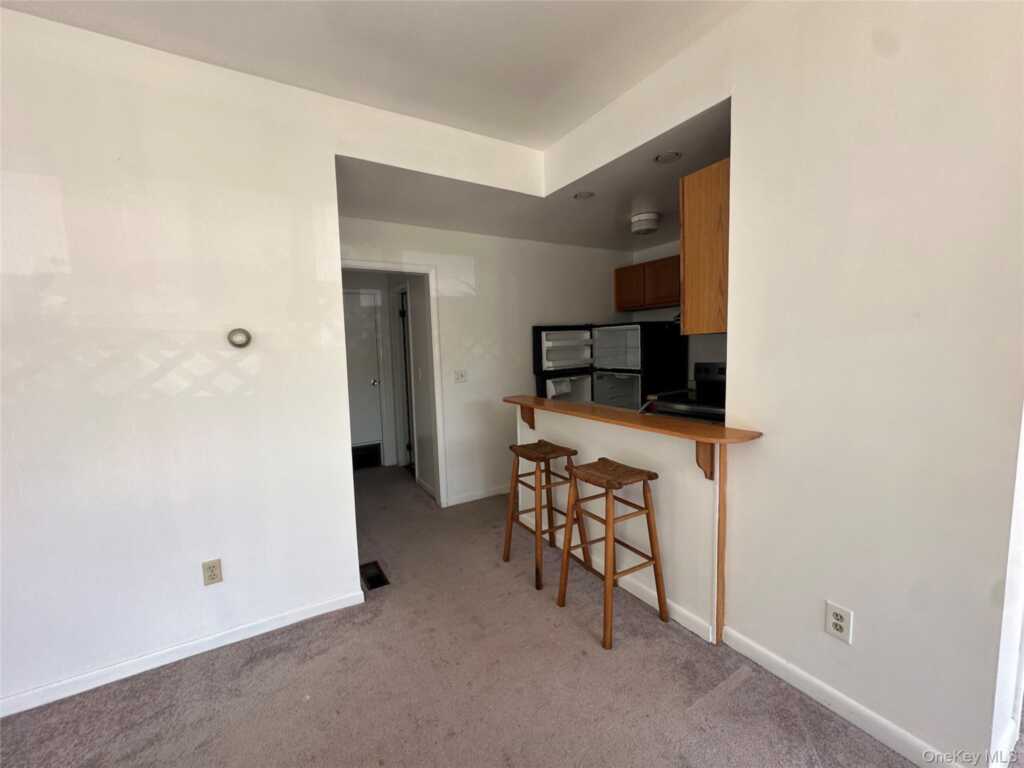 165 Ulster Avenue, Unit #8, Saugerties, NY 12477 - Photo 29 of 36