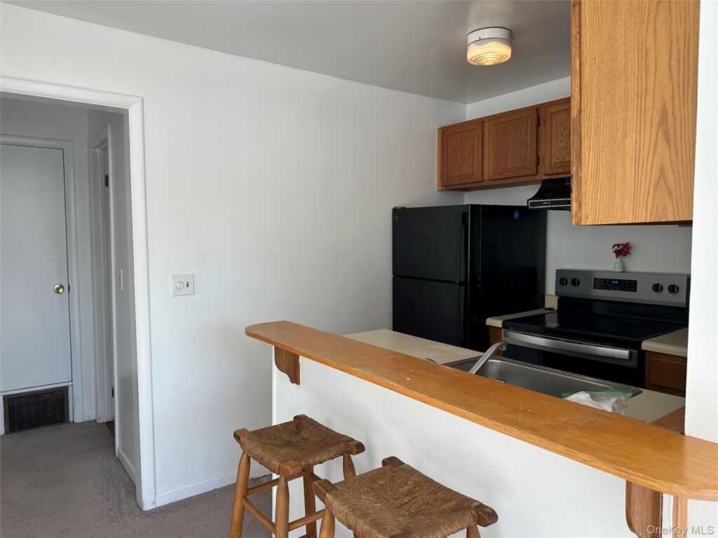 165 Ulster Avenue, Unit #8, Saugerties, NY 12477 - Photo 7 of 36