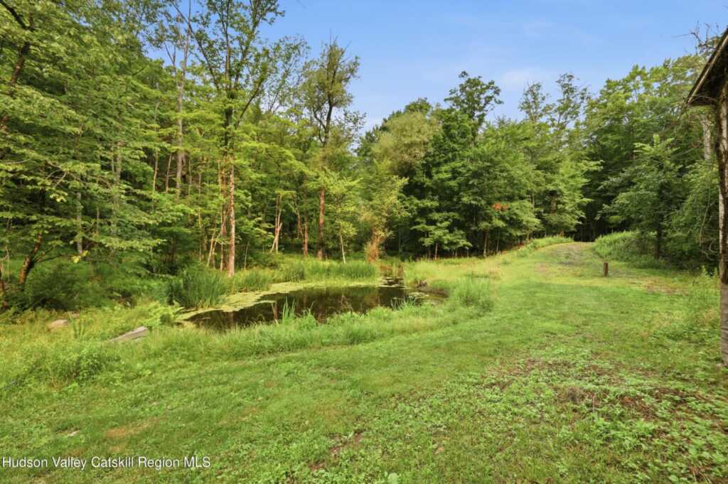 4230-4257 Atwood Road, Stone Ridge, NY 12484 - Photo 46 of 47
