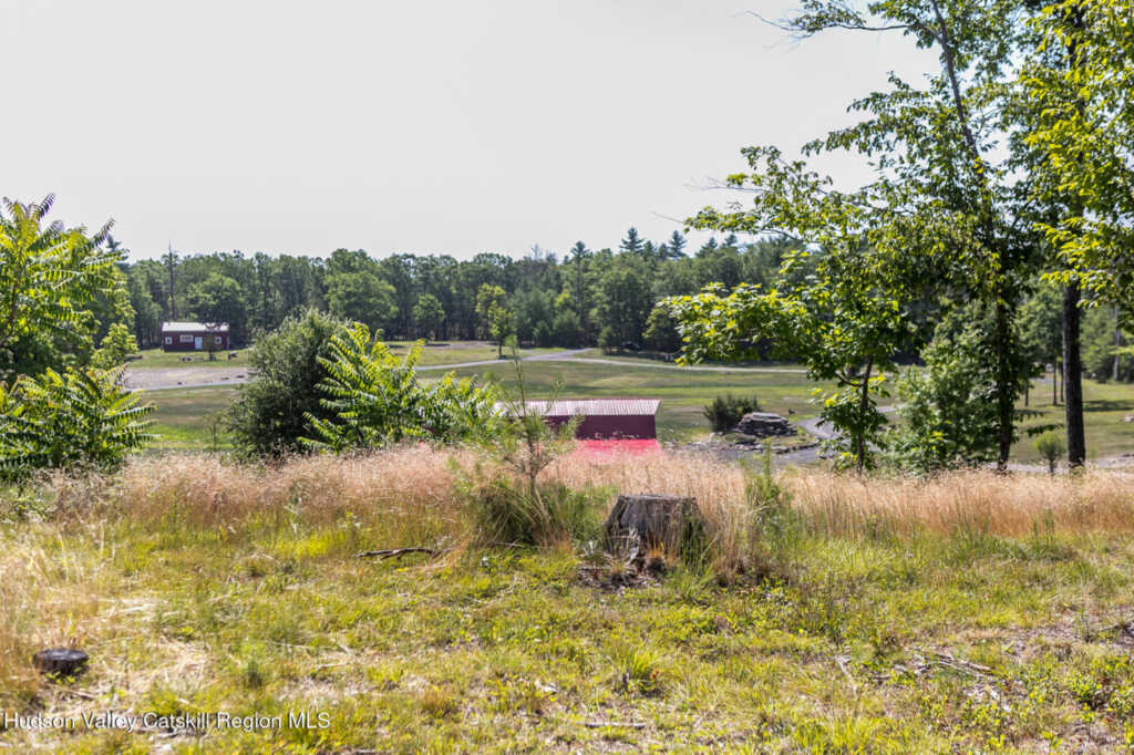 74 Goat Hill Road, Saugerties, NY 12477 - Photo 12 of 38