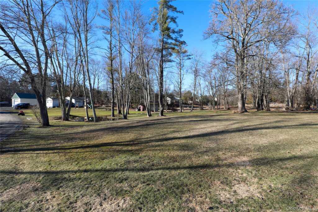 75 Walton Lane, Hurley, NY 12443 - Photo 10 of 22