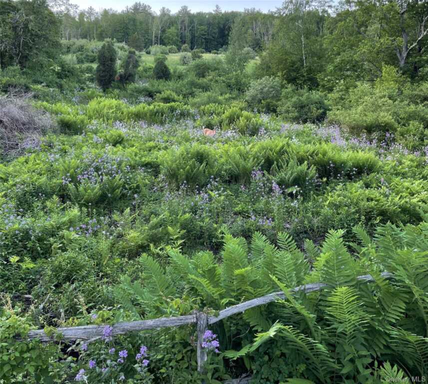 96 Wittenberg Road, Woodstock, NY 12409 - Photo 20 of 41