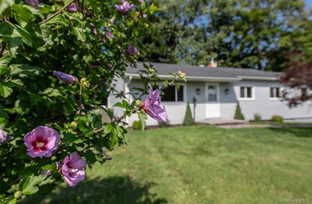16 Trinity Place, Rhinebeck, NY 12572 - Photo 4 of 44