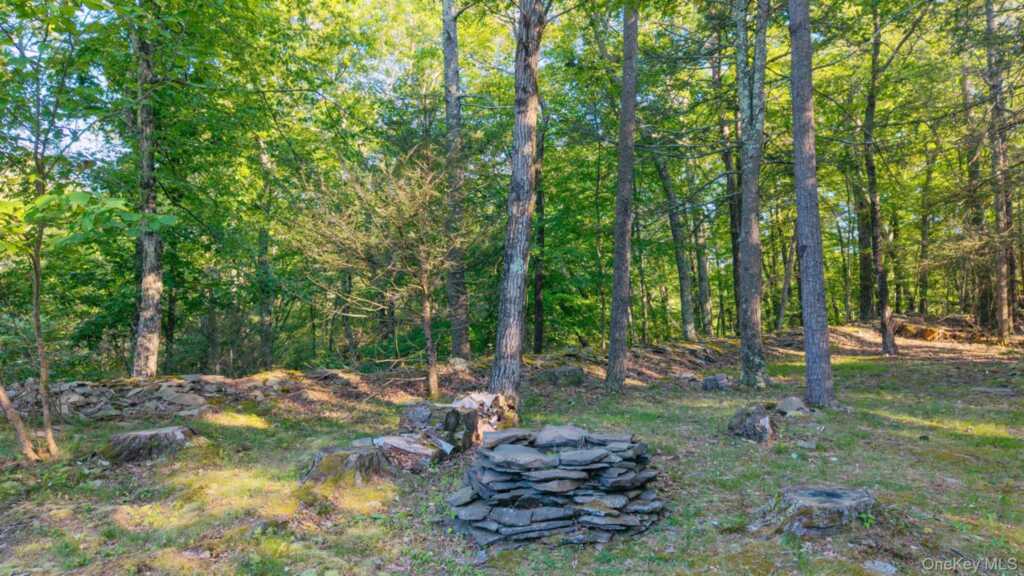 33 Cranberry Lane, Saugerties, NY 12477 - Photo 45 of 50