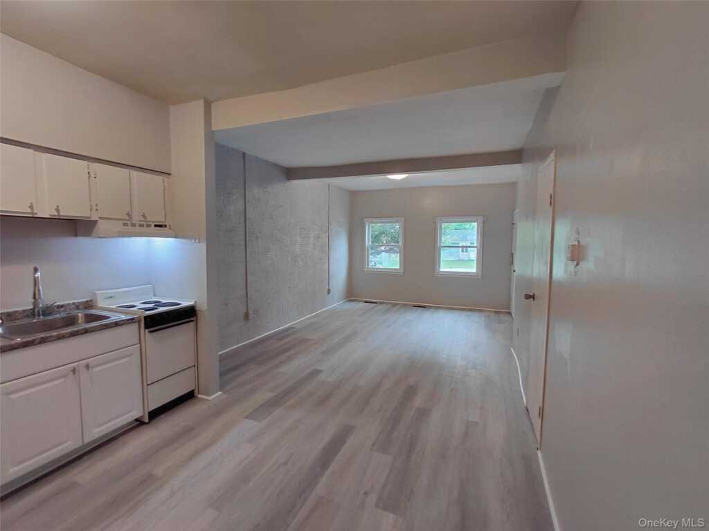 81 Franklin Street, Unit #305, Kingston, NY 12401 - Photo 7 of 13