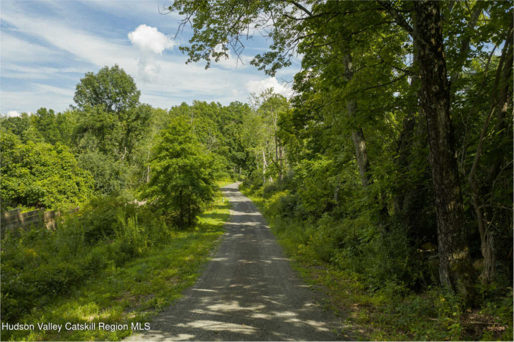 195 Mohonk Road, High Falls, NY 12440 - Photo 48 of 50