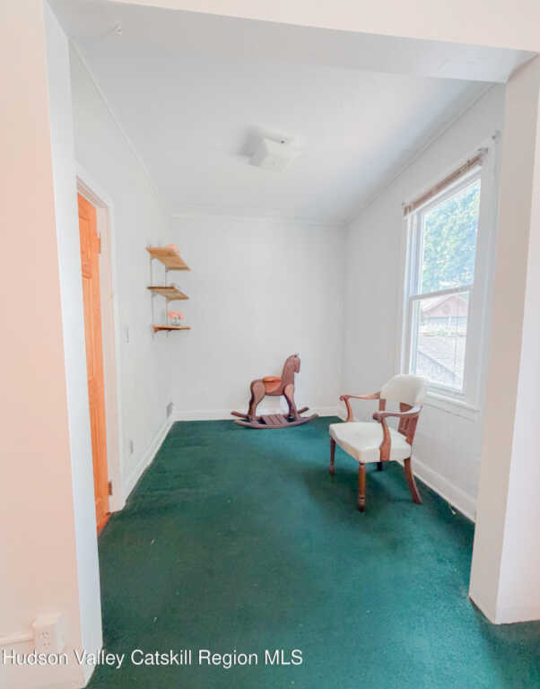 49 Gill Street, Kingston, NY 12401 - Photo 8 of 28