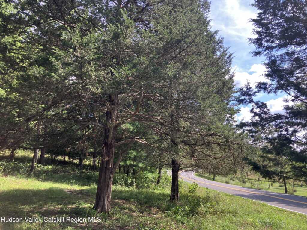 1 Highwoods Road, Saugerties, NY 12477 - Photo 22 of 24