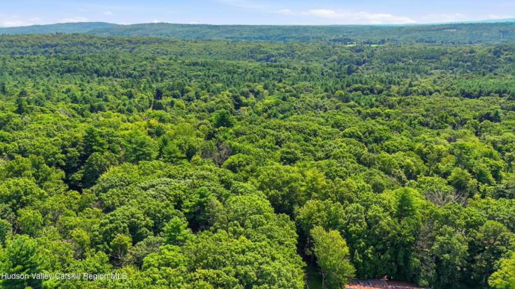 1515 Krumville Road, Olivebridge, NY 12461 - Photo 2 of 16