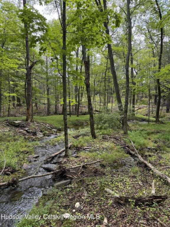 248 Stoll Road, Saugerties, NY 12477 - Photo 23 of 24