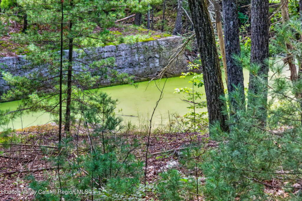 325 Morgan Hill Road, Hurley, NY 12443 - Photo 25 of 32