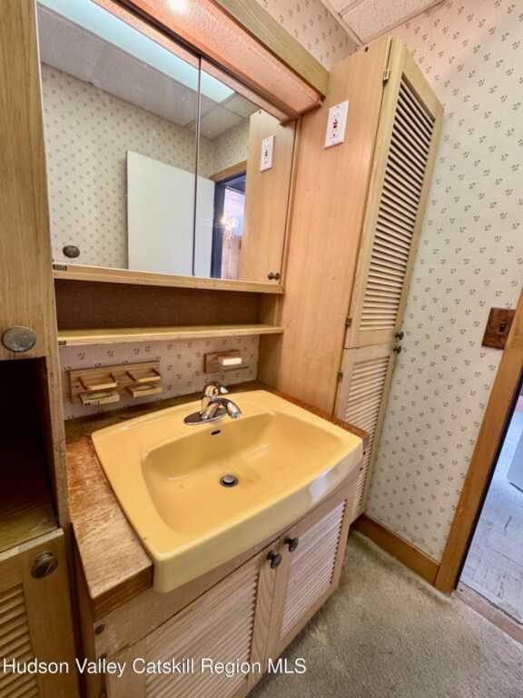 46 Main Street, Phoenicia, NY 12464 - Photo 27 of 35