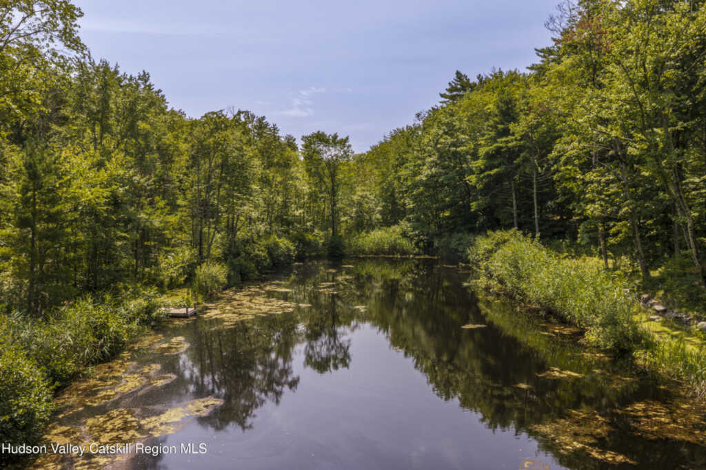 115 Bellwood Lane, Saugerties, NY 12477 - Photo 49 of 50