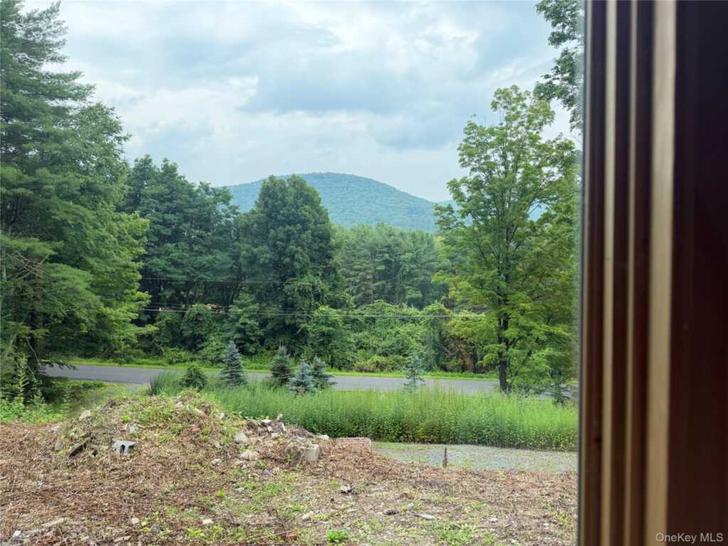 281 Cold Brook Road, Woodstock, NY 12409 - Photo 22 of 26