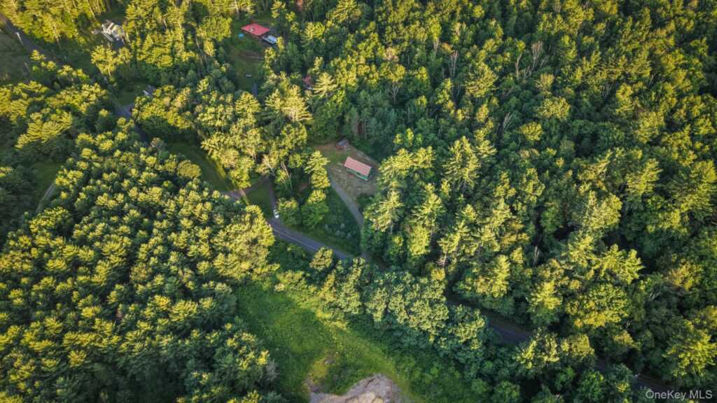 281 Cold Brook Road, Woodstock, NY 12409 - Photo 4 of 26
