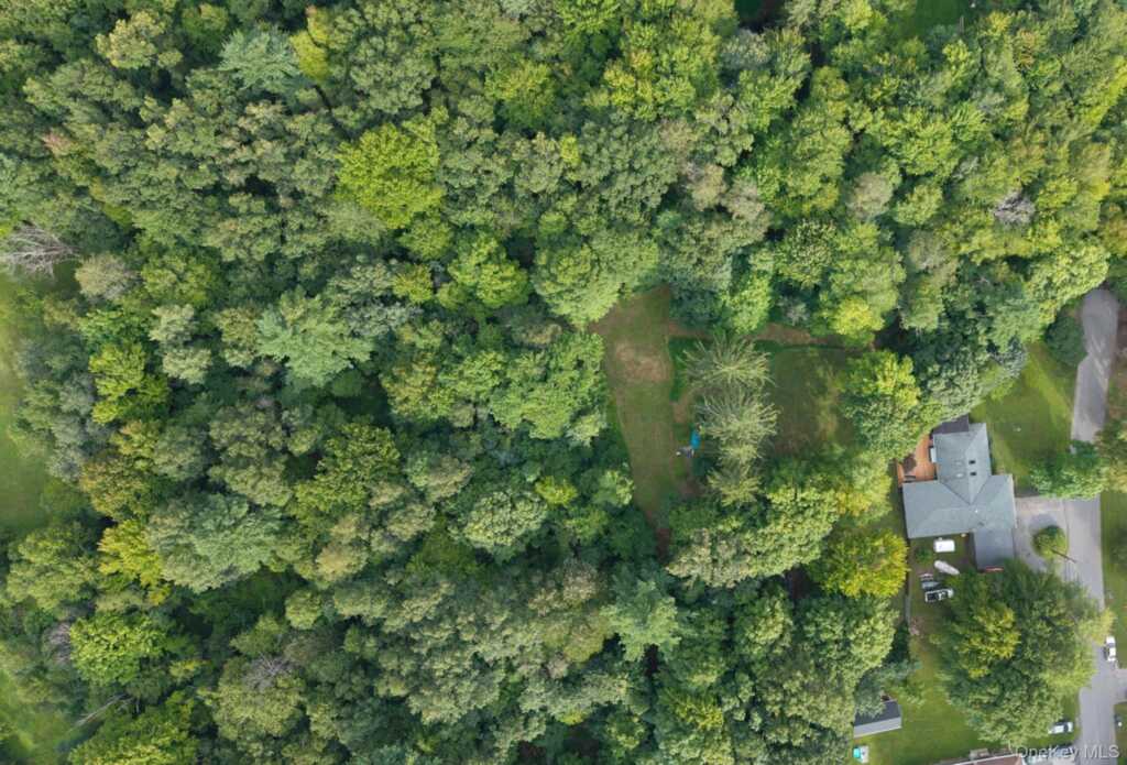 104 Park Place, Saugerties, NY 12477 - Photo 46 of 48
