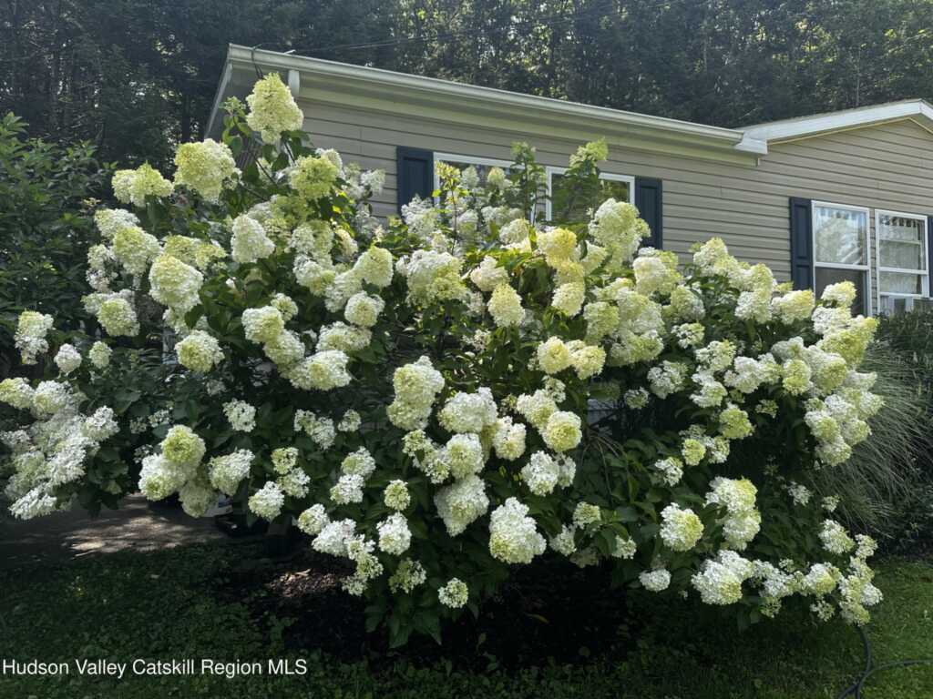 23 North Road, Kingston, NY 12401 - Photo 18 of 18