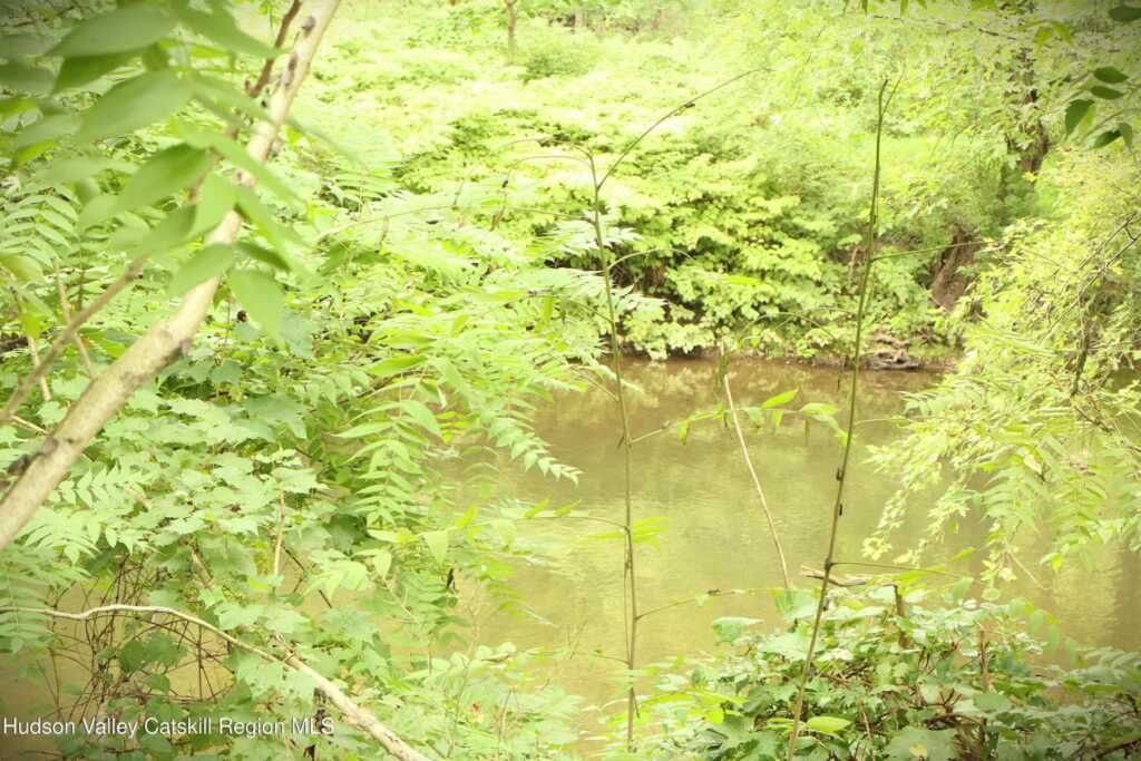 67-81 Glenerie Lane, Saugerties, NY 12477 - Photo 44 of 45