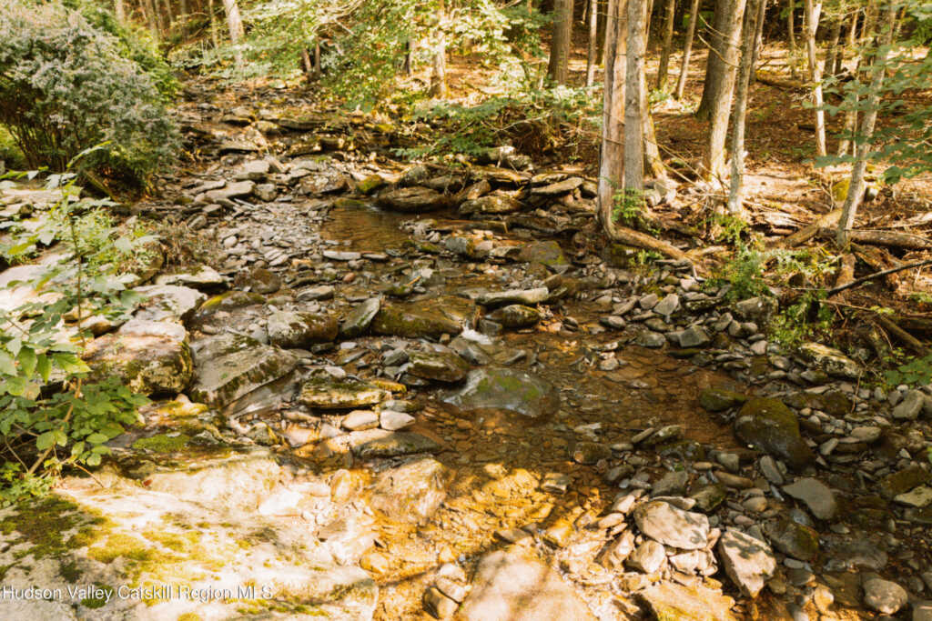 54 Shultis Farm Road, Woodstock, NY 12409 - Photo 4 of 50
