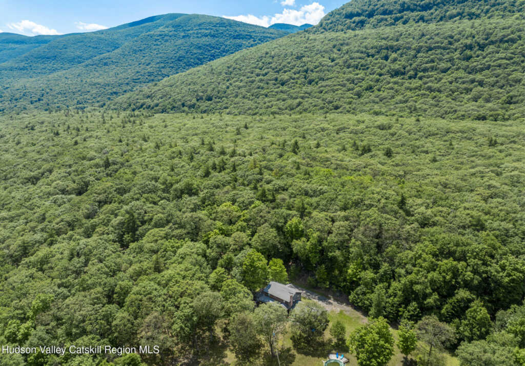 231 Manorville Road, Saugerties, NY 12477 - Photo 25 of 46