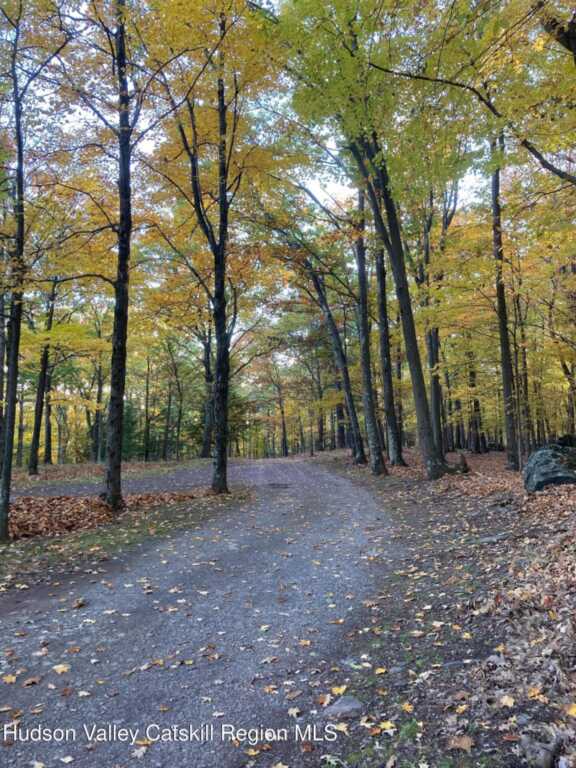 231 Manorville Road, Saugerties, NY 12477 - Photo 40 of 46