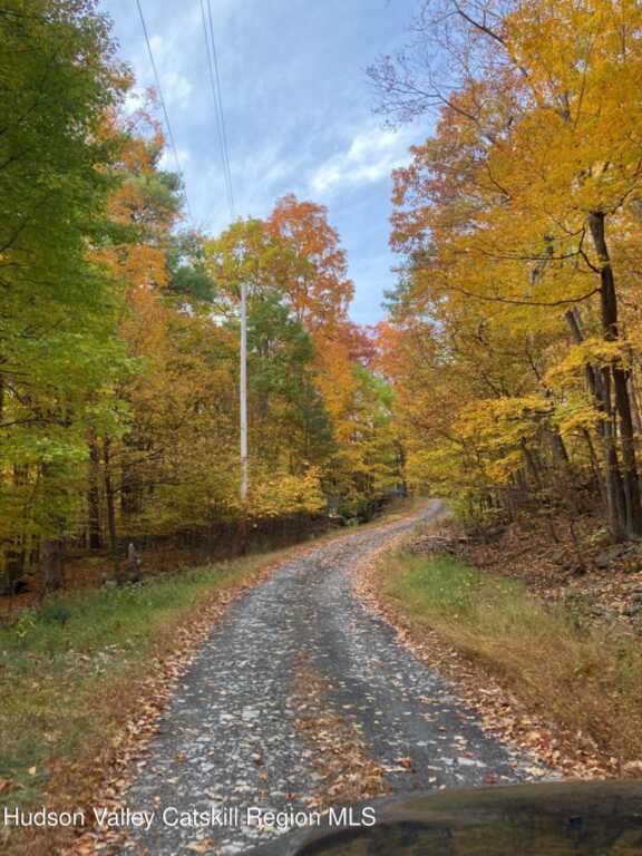 231 Manorville Road, Saugerties, NY 12477 - Photo 41 of 46