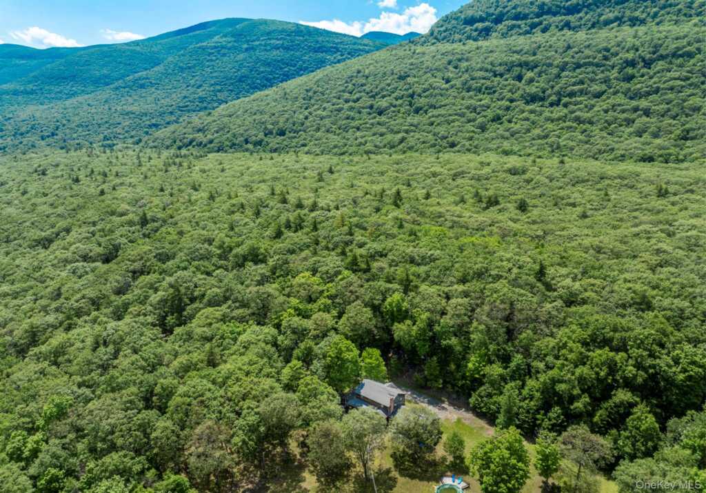 231 Manorville Road, Saugerties, NY 12477 - Photo 25 of 46