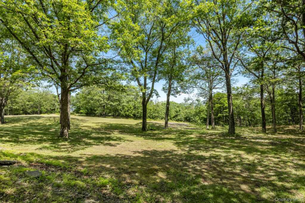 231 Manorville Road, Saugerties, NY 12477 - Photo 36 of 46