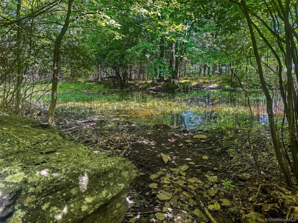 231 Manorville Road, Saugerties, NY 12477 - Photo 39 of 46