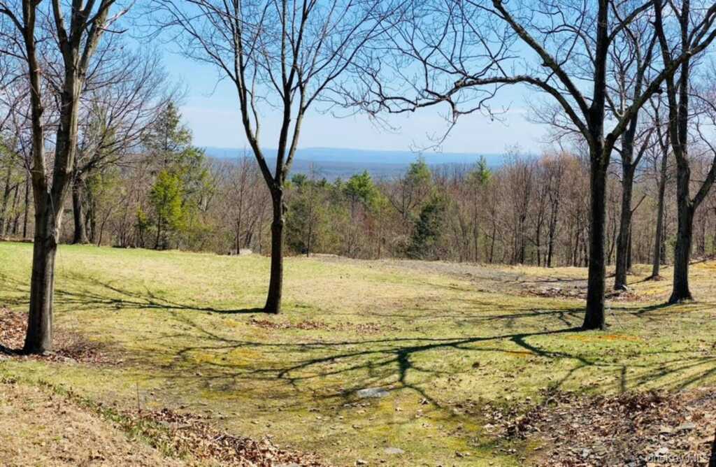 231 Manorville Road, Saugerties, NY 12477 - Photo 43 of 46
