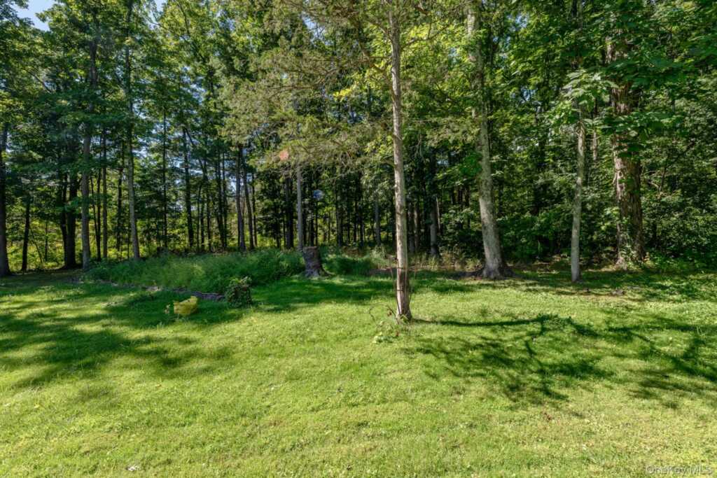 28 Buck Lane, Saugerties, NY 12477 - Photo 43 of 50