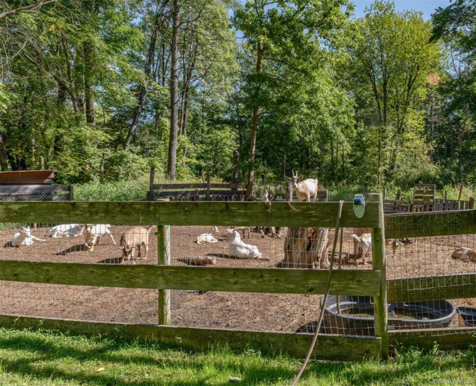 28 Buck Lane, Saugerties, NY 12477 - Photo 47 of 50