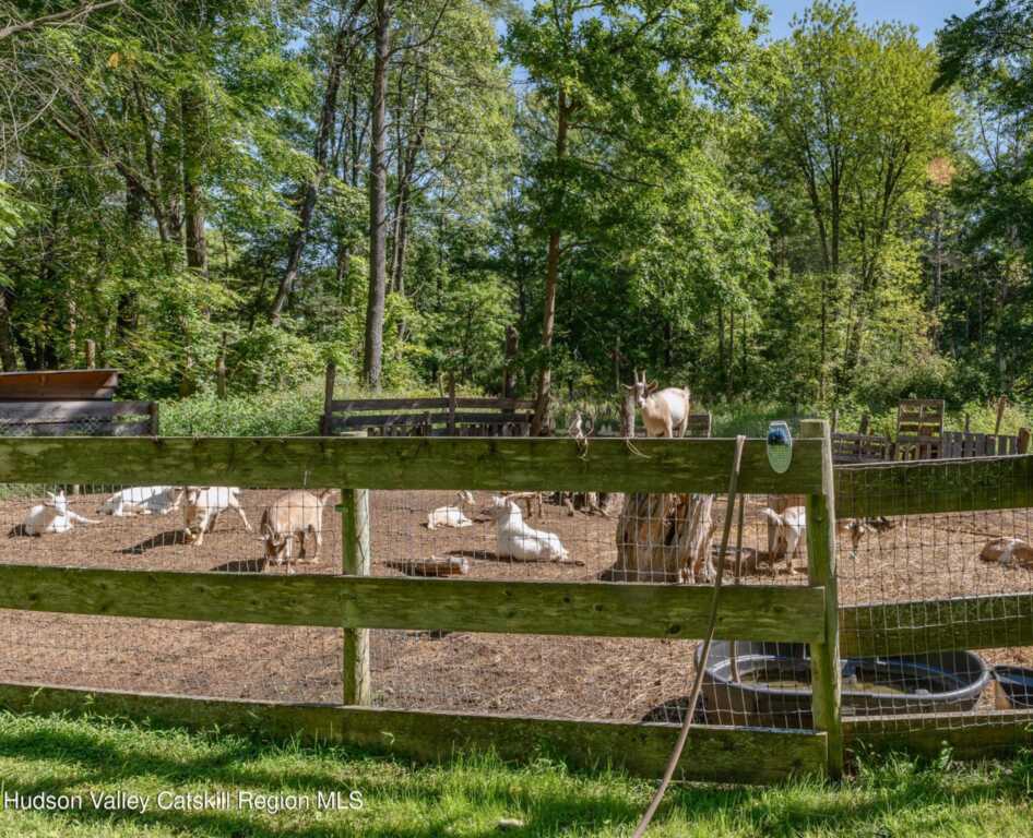 28 Buck Lane, Saugerties, NY 12477 - Photo 36 of 39
