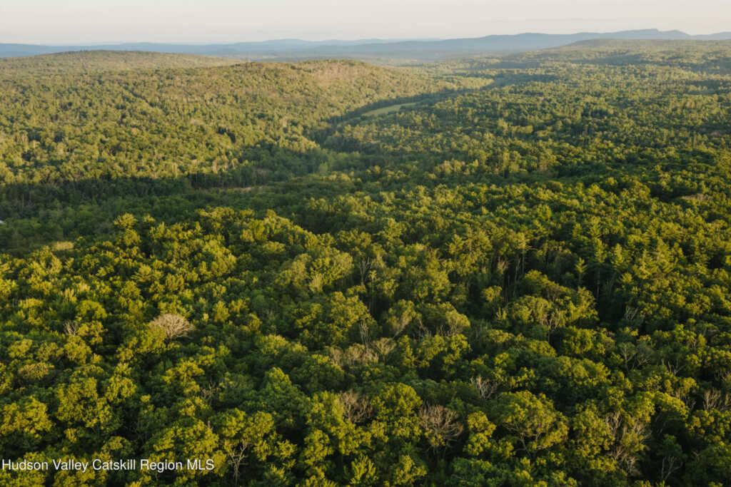 148 Beaverkill Road, Kingston, NY 12401 - Photo 10 of 26