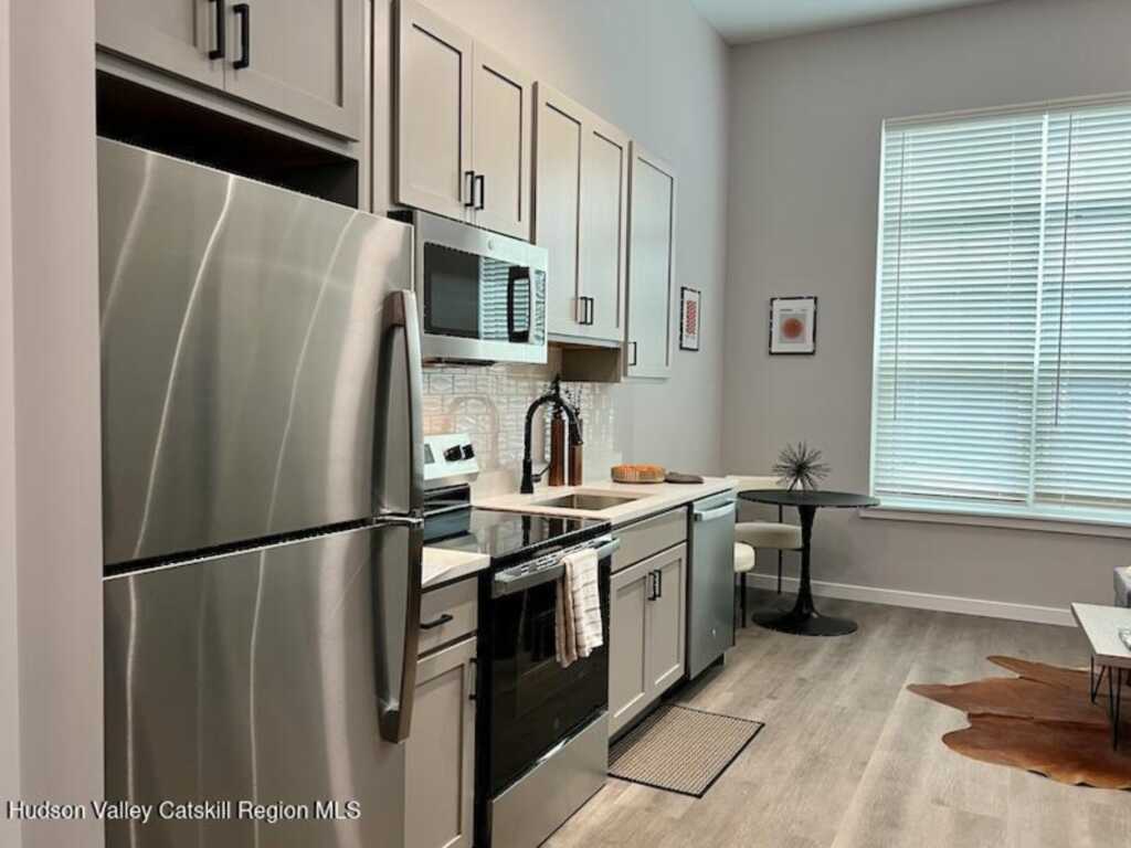110 Cornell Street, Unit #1131, Kingston, NY 12401 - Photo 2 of 6