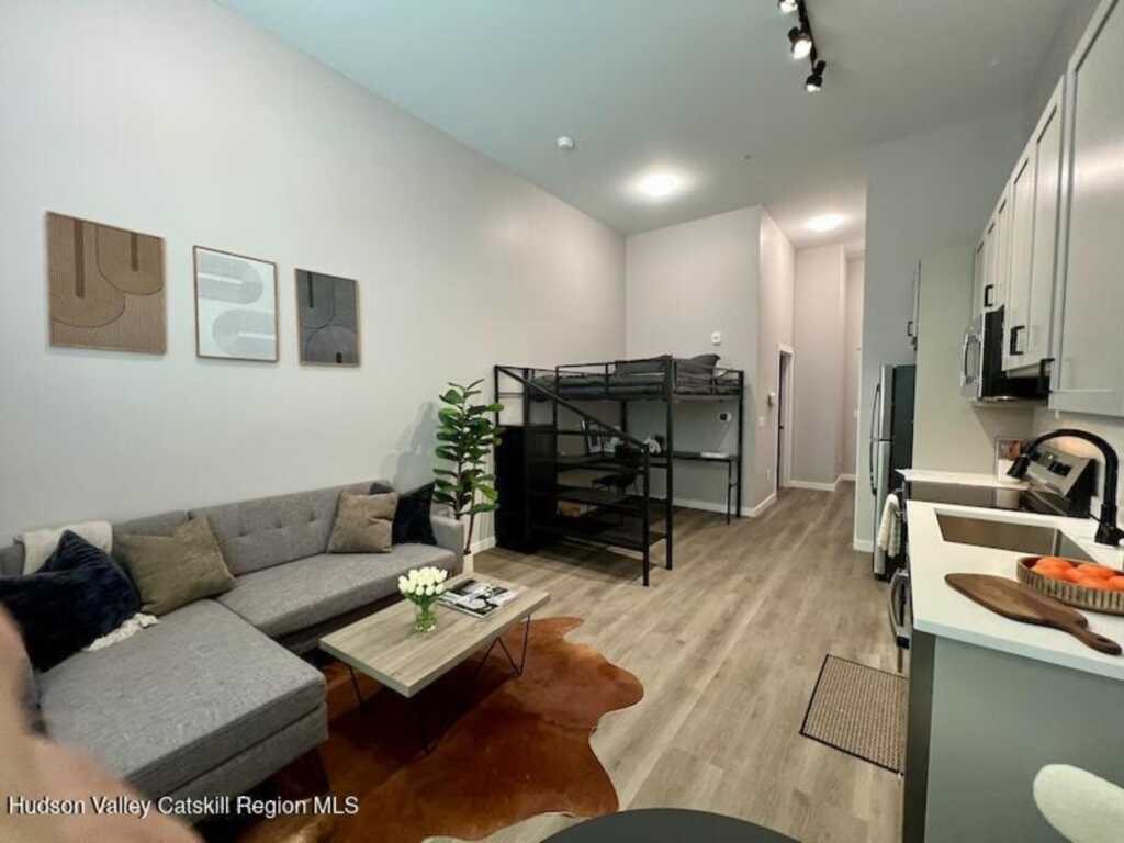 110 Cornell Street, Unit #1131, Kingston, NY 12401 - Photo 5 of 6