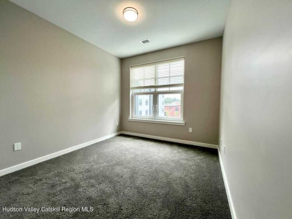 110 Cornell Street, Unit #1302, Kingston, NY 12401 - Photo 3 of 8