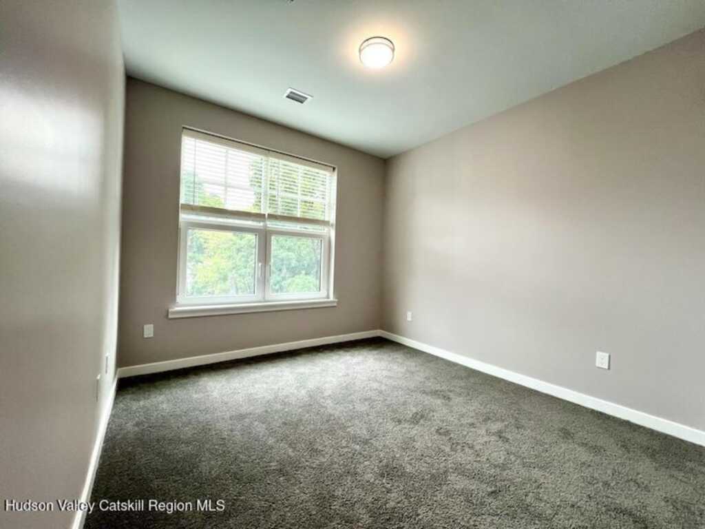 110 Cornell Street, Unit #1302, Kingston, NY 12401 - Photo 5 of 8