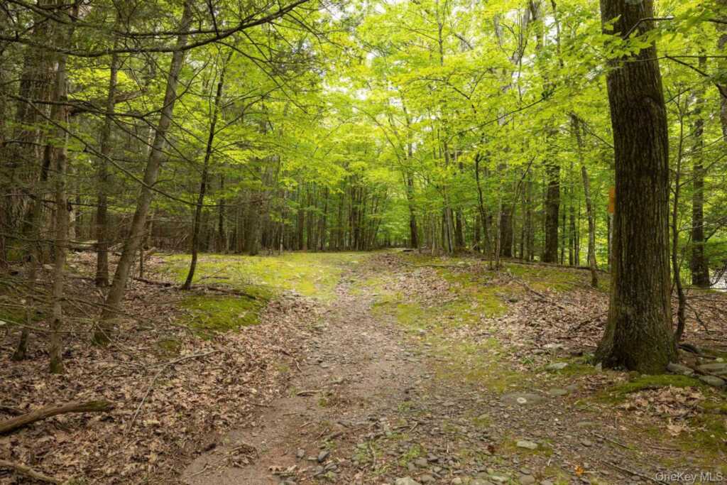 61 Woodland Falls Road, Saugerties, NY 12477 - Photo 41 of 45