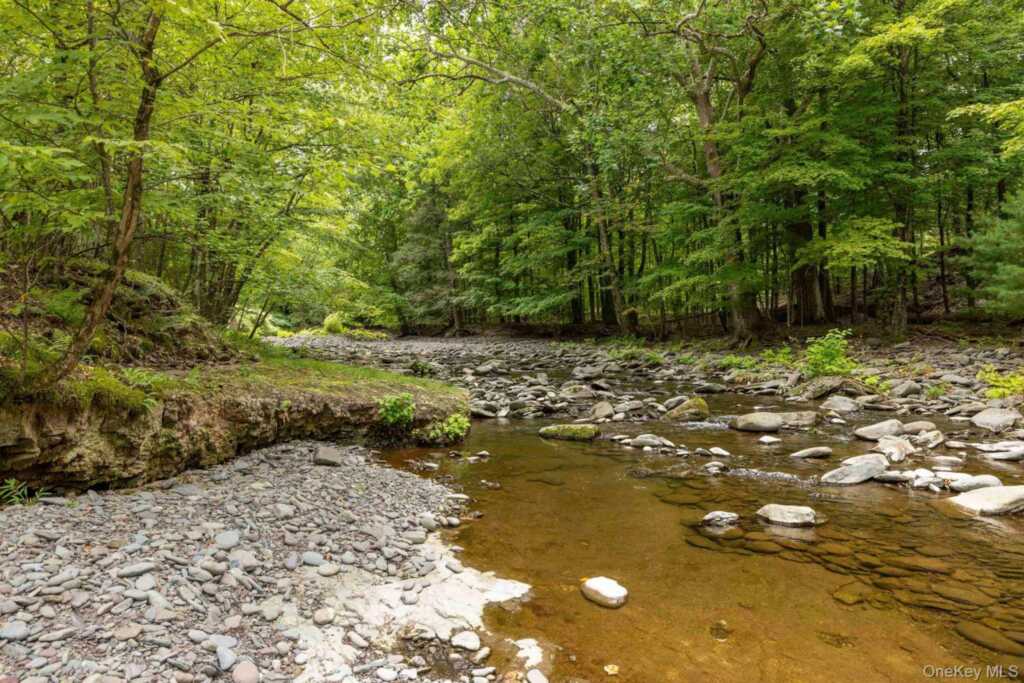 61 Woodland Falls Road, Saugerties, NY 12477 - Photo 5 of 45