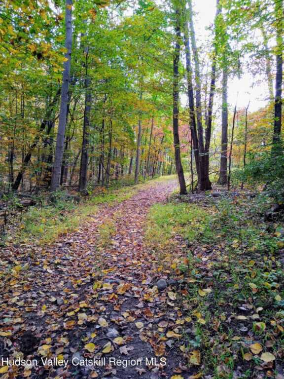 322 Schultz Lane, Kingston, NY 12401 - Photo 46 of 50