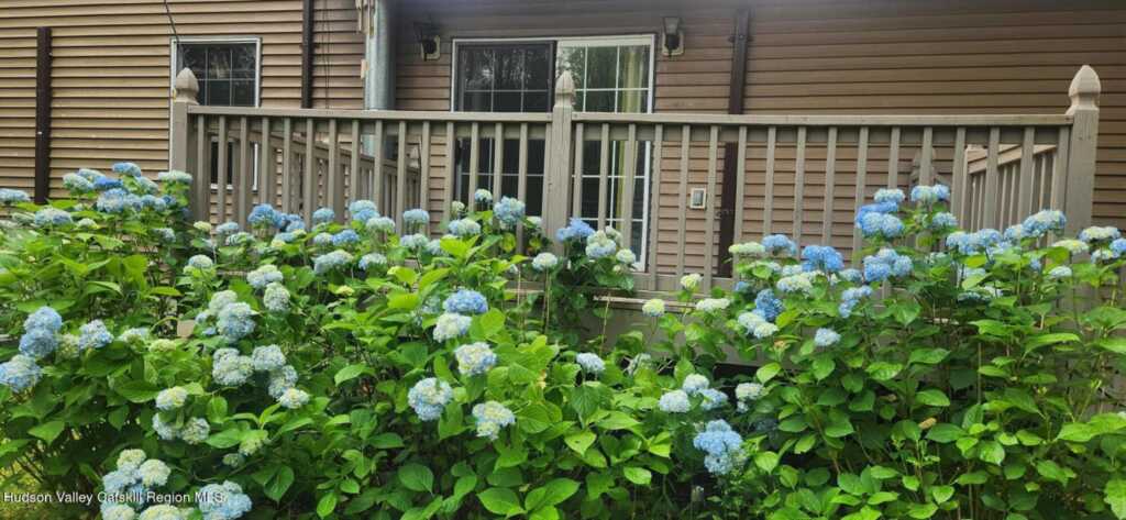 174 Ruby Road, Kingston, NY 12401 - Photo 14 of 45