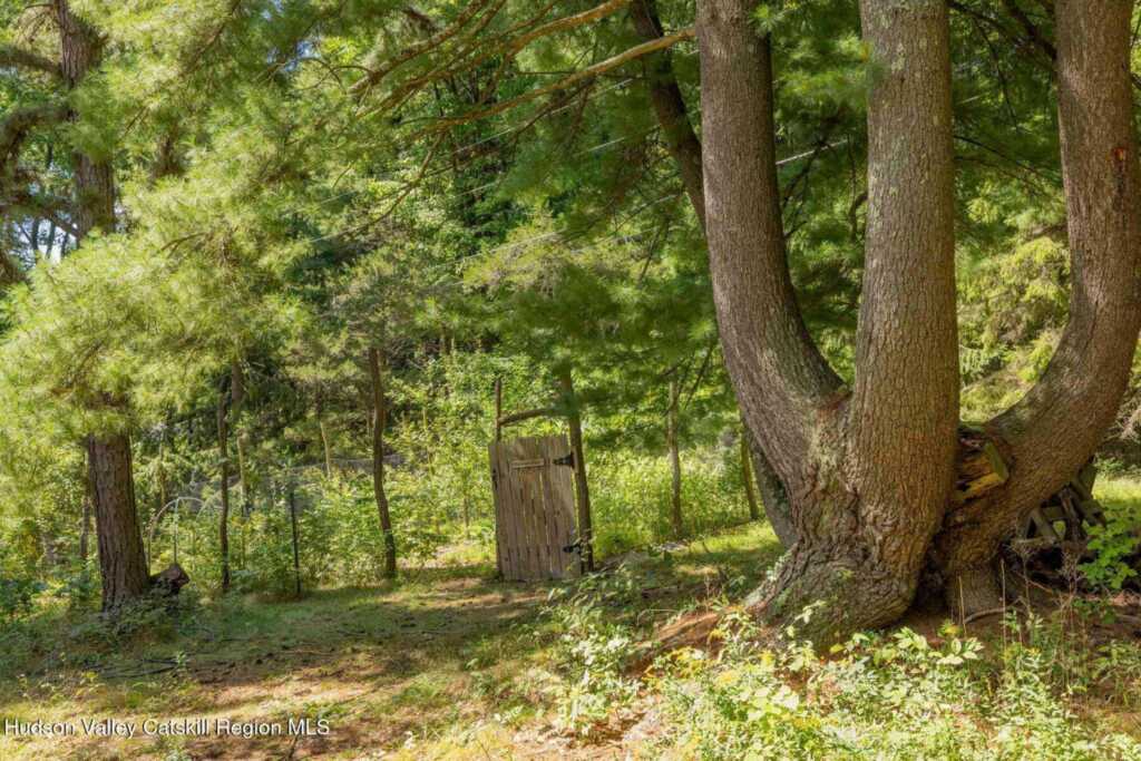 227 Mountain Rest Road, New Paltz, NY 12561 - Photo 47 of 50