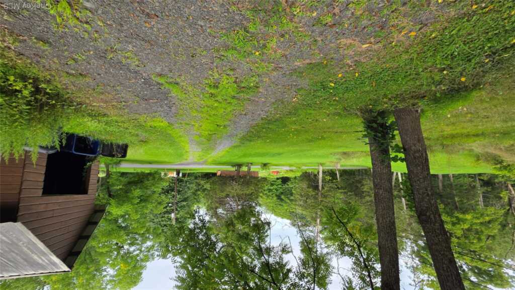 251 Finger Road, Saugerties, NY 12477 - Photo 6 of 6