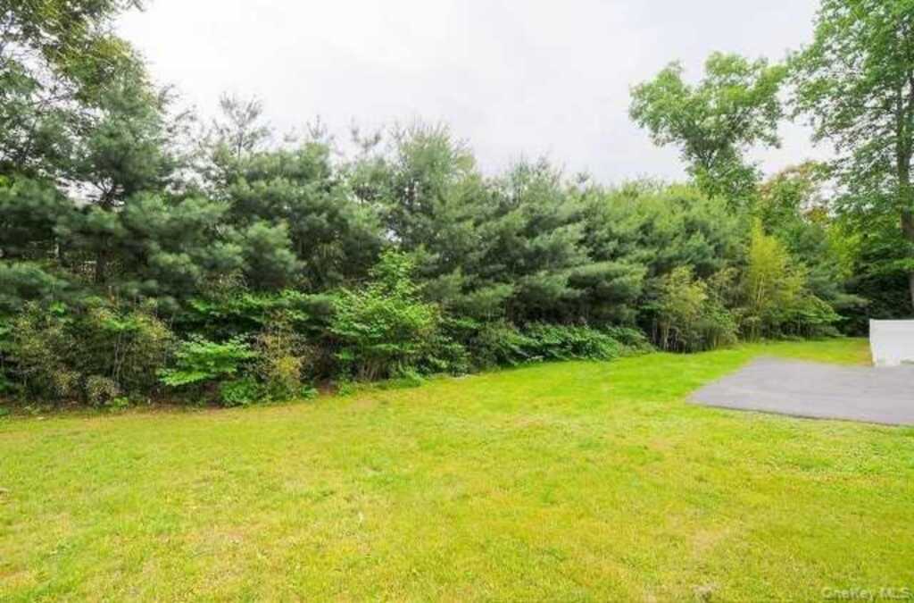 9 Bird Court, Rhinebeck, NY 12572 - Photo 5 of 29