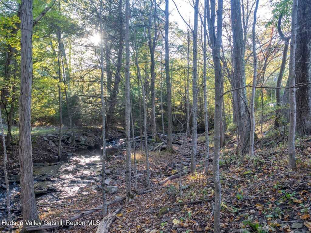 326 Ralph Vedder Road, Saugerties, NY 12477 - Photo 33 of 39