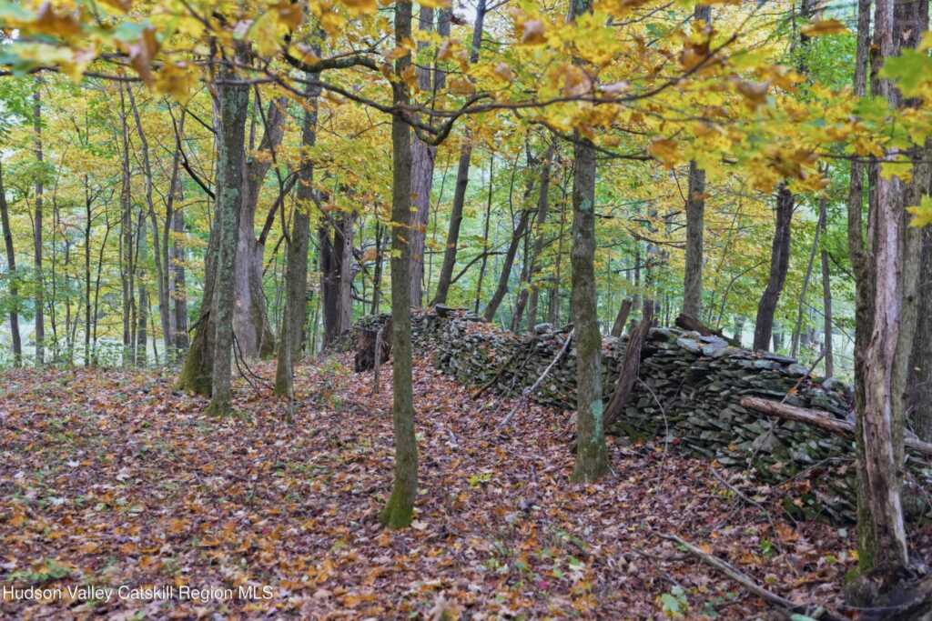 66 Scal Bo Road, Saugerties, NY 12477 - Photo 32 of 32