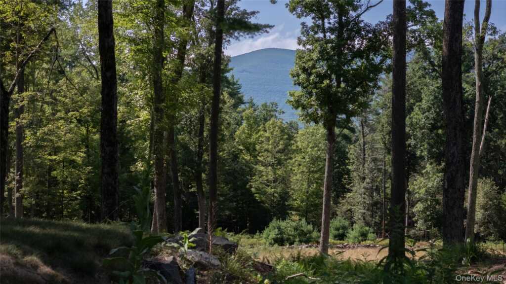 45-47 Haviland Court, Saugerties, NY 12477 - Photo 45 of 49