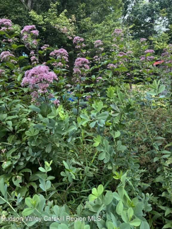 233 Ashokan Road, Kingston, NY 12401 - Photo 36 of 40